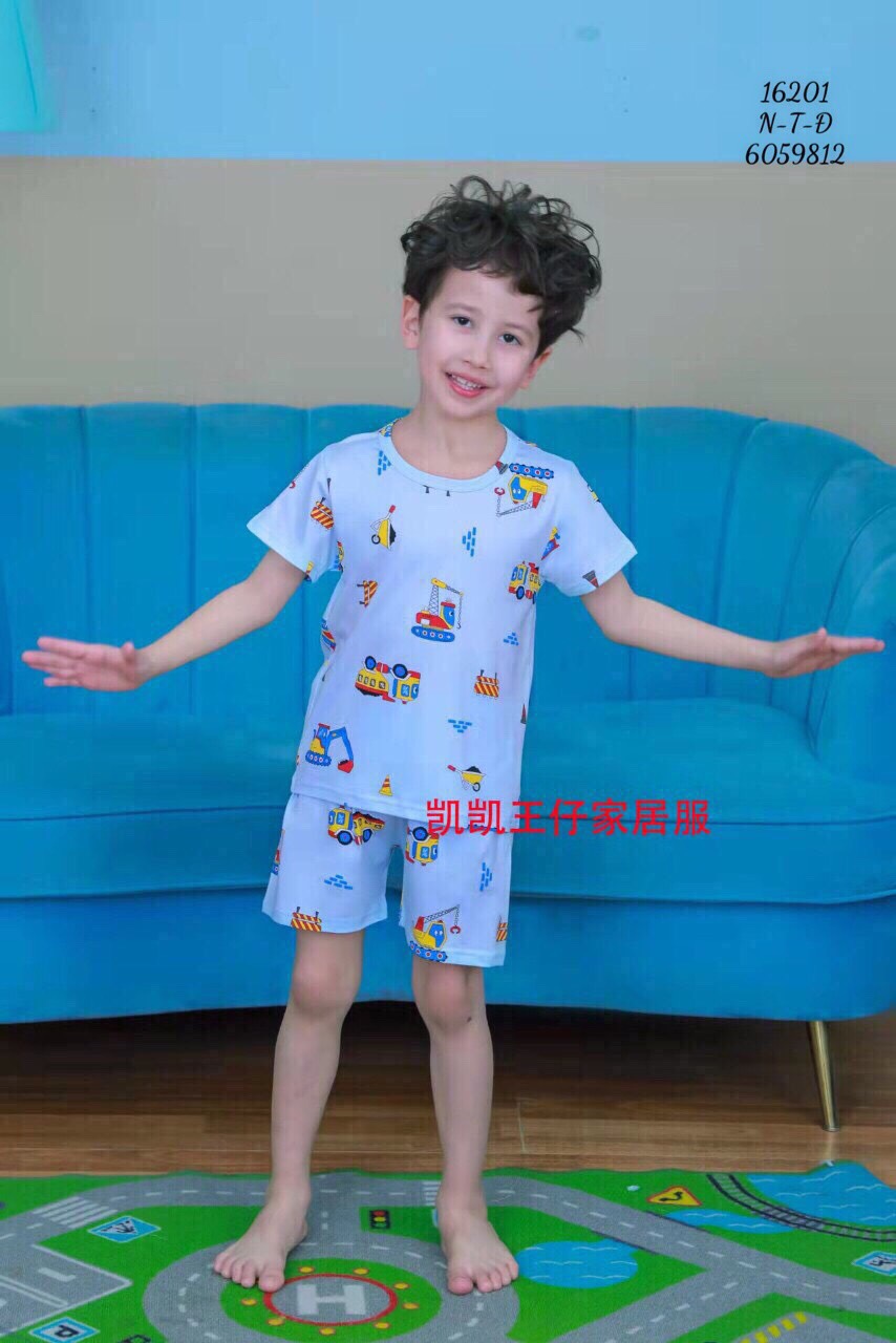 Mẫu 16201 N-T-D 6059812