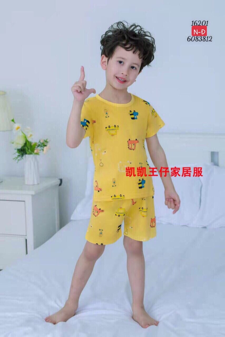 Mẫu 16201 N-D 60833812